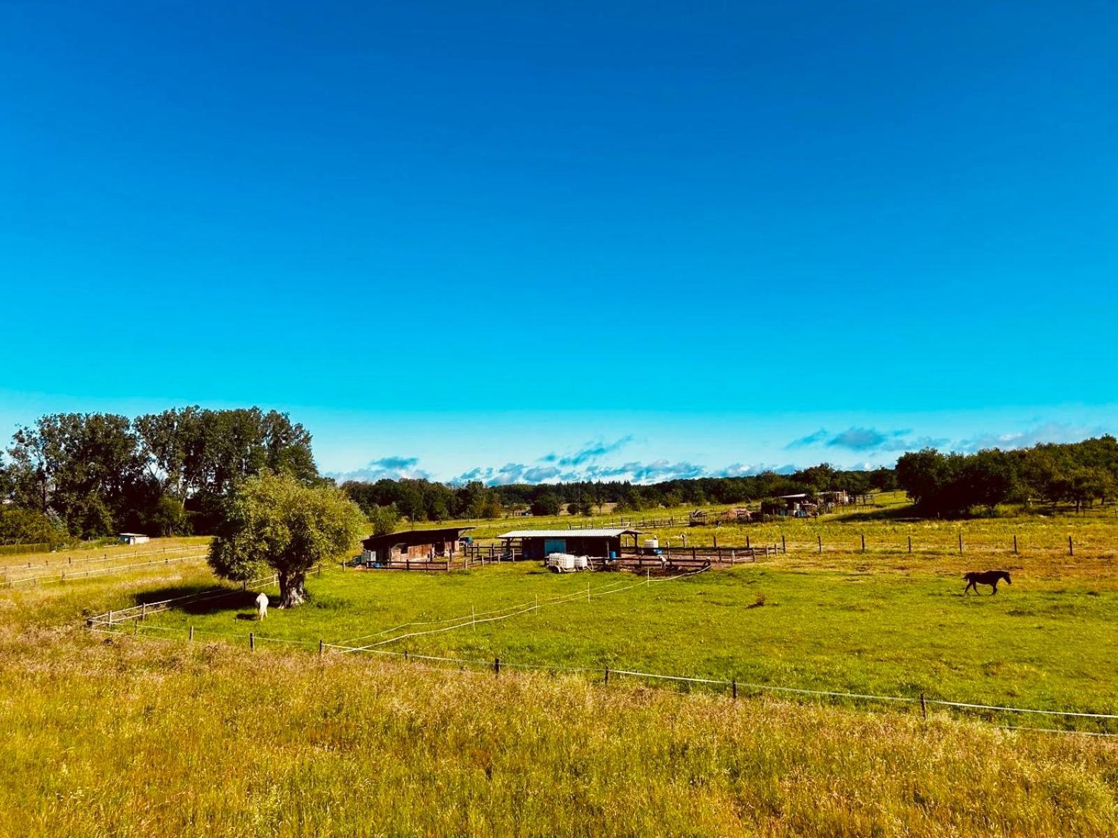 La Clef Des Songes Bed and Breakfast Merzmuhler Exteriör bild